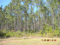 LOT 24 MILLWOOD PLAN, MANOR, GA 31550 