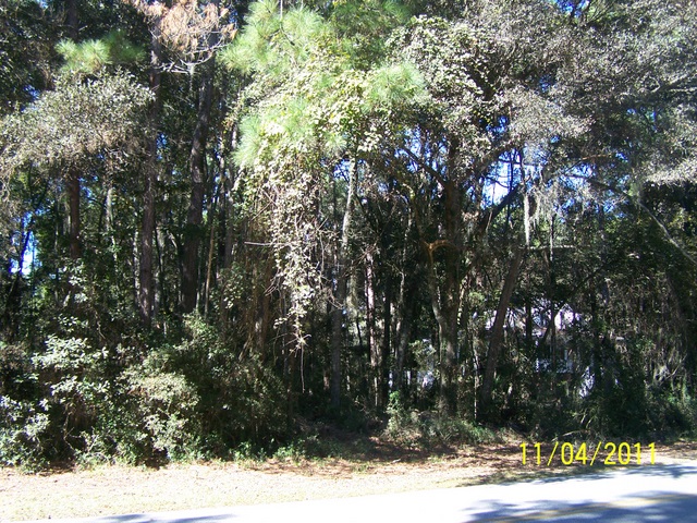 115 HAMPTON PT DR, SAINT SIMONS ISLAND, GA 31522 