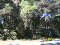 115 HAMPTON PT DR, SAINT SIMONS ISLAND, GA 31522 