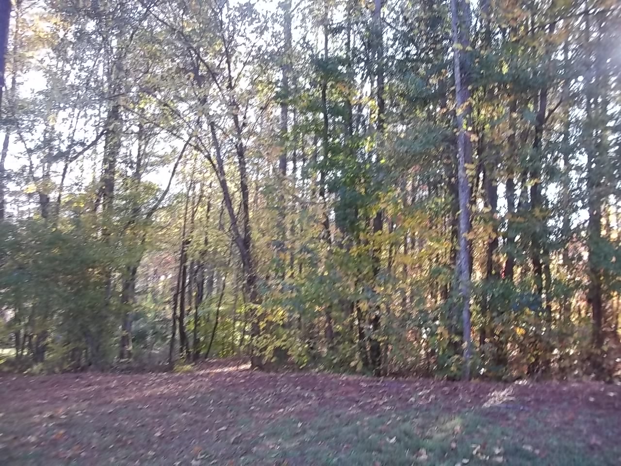 405 WESTBOURNE DR LOT 45, TYRONE, GA 30290 