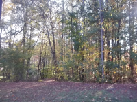 405 WESTBOURNE DR LOT 45, TYRONE, GA 30290 