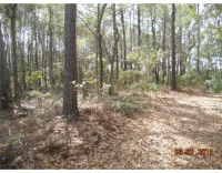 Lot 4 Eagle Neck, Townsend, GA 31331 