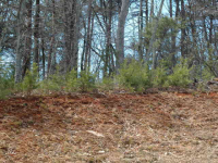 LOT 31, NORTHERN SPY DRIVE, CLARKESVILLE, GA 30523 