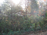 LOT 118 THE BLUFFS O, ELLIJAY, GA 30540 