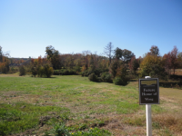 Lot 35 Pod S,of Braselton, Jefferson, GA 30517 