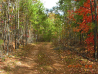 0 Off Lakeview Pkwy Lots 17,32, VILLA RICA, GA 30180 