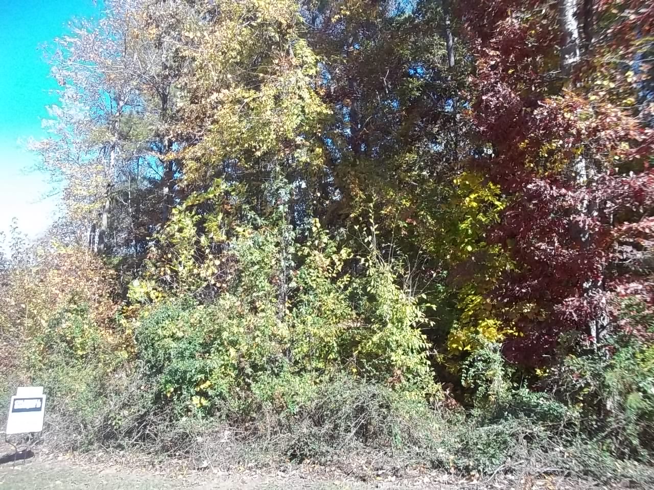 110 ELLENS RIDGE ROAD LOT 65, FAIRBURN, GA 30213 