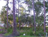 101  OVERLOOK LN, ST MARYS, GA 31558 