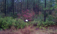 LOT 28 MIDDLETON PLA, WAVERLY, GA 31363 