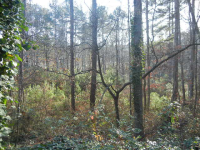 5022 Kanawha Bluff, Stone Mountain, GA 30087 