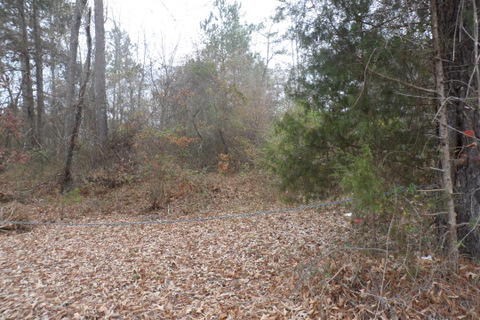 Lot 7 Manning Gin Rd, Winder, GA 30620 