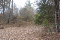 Lot 7 Manning Gin Rd, Winder, GA 30620 
