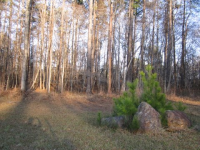 0 Oxford Road, Atlanta, GA 30349 