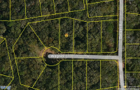LOT 917, PHASE 9, CUMBERLAND HARBOUR, ST. MARYS, GA 31558 
