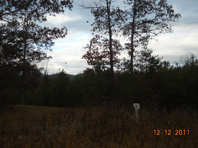 LOT 7 WALNUT HILLS Estates, MINERAL BLUFF, GA 30559 
