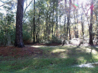 301  BUCKLAND HALL DR, RICHMOND HILL, GA 31324 