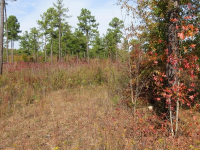980 ZELLNER RD, FORSYTH, GA 31029 