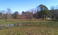 220 Butner Trail, College Park, GA 30349 