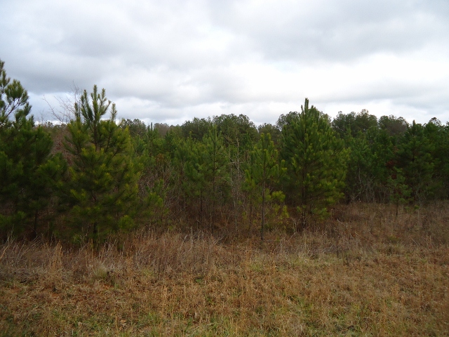 LOT 9 OLD COVERED BR, COVINGTON, GA 30016 
