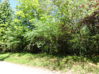 Lot 1249, Dallas, GA 30132 