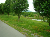 LOT 5, RISING FAWN, GA 30738 