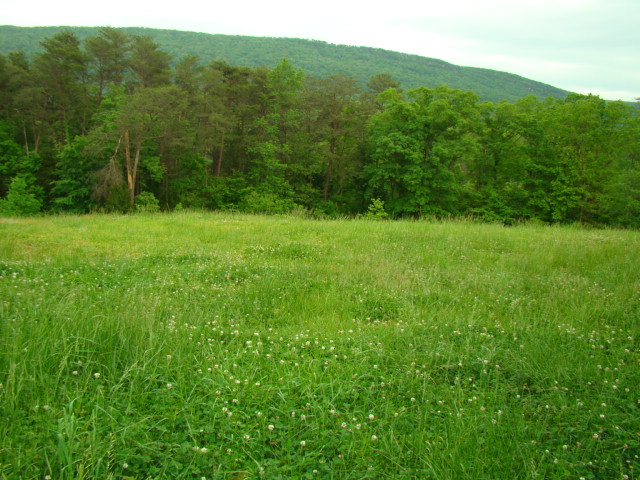 LOT 11, RISING FAWN, GA 30738 