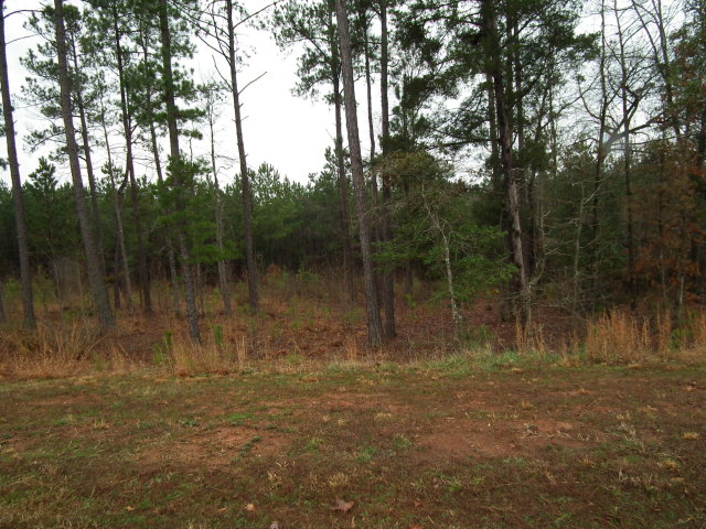 LOT 157 STILLWATER COVE, LINCOLNTON, GA 30817 