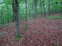 LOT 5 Phase 1, RISING FAWN, GA 30738 