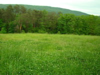 00  LOT 29, RISING FAWN, GA 30738 