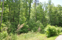 539 PLANTERS CREEK DR, BALDWIN, GA 30511 