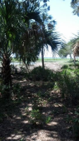 5  HAWKINS LN, SAVANNAH, GA 31411 
