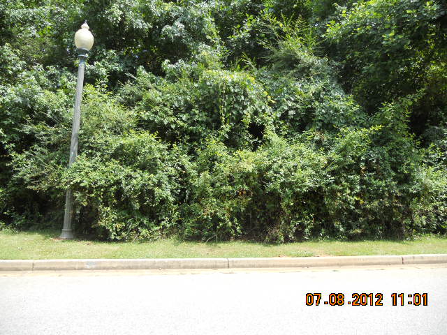 Lot4 Longcreek Drive, Riverdale, GA 30295 