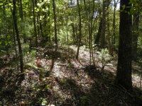 Lot 1663 Hunter Dr, Ranger, GA 30734 