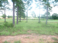 Lots B 10 And Lot11 Camden, Hawkinsville, GA 31038 
