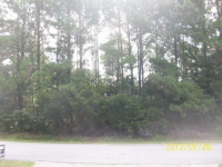 141 Palmera Ln, Brunswick, GA 31525 