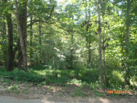 Lot 1 Country Acres, Hiawassee, GA 30546 