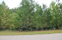 788  SHEPHERDS WAY, DAHLONEGA, GA 30533 
