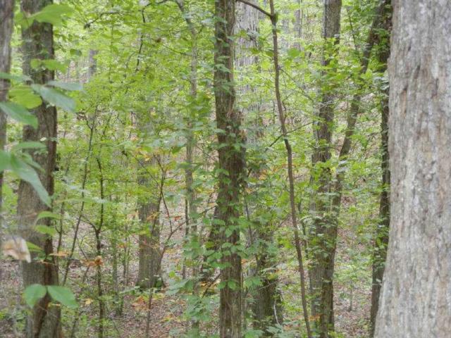Lot 1258 Onyx Court, Ranger, GA 30734 