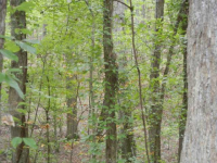 Lot 1258 Onyx Court, Ranger, GA 30734 