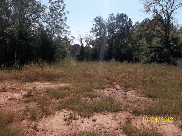 Lot 10 Hollingsworth Rd, Covington, GA 30016 