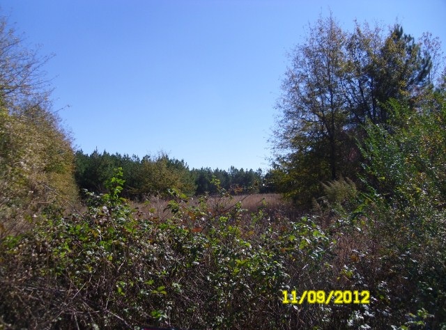 Freedon Ln, Commerce, GA 30529 