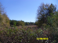 Freedon Ln, Commerce, GA 30529 