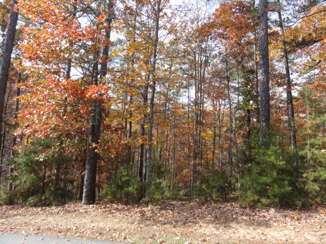 19 Edgewater Dr, Catersville, GA 30121 