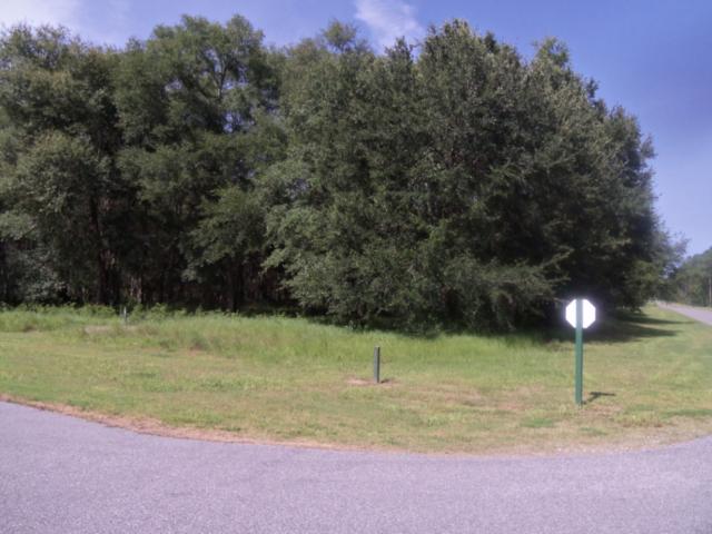 LOT 418 COOPERS PT, TOWNSEND, GA 31331 