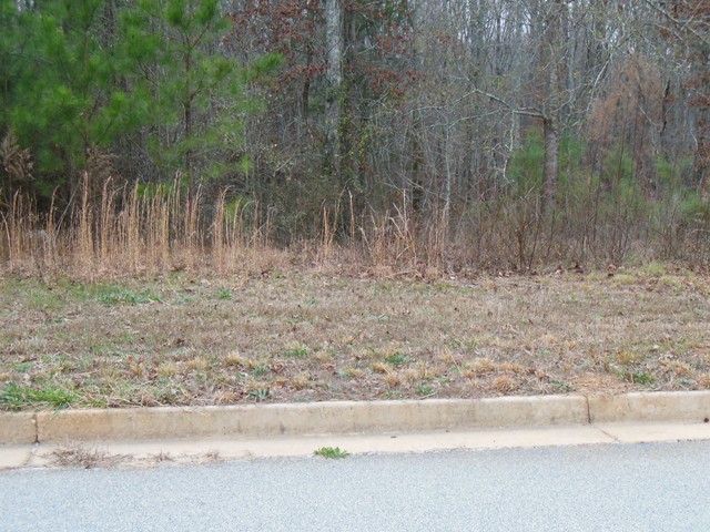 135 Oak Forest Dr, Oxford, GA 30054 