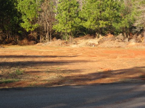 Lot Cotton Indian Creek, Mcdonough, GA 30252 