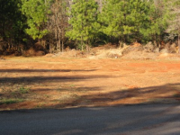 Lot Cotton Indian Creek, Mcdonough, GA 30252 