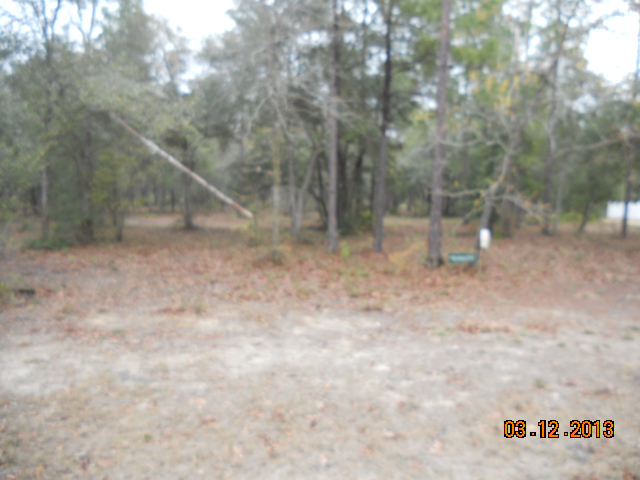 625 The Village, Townsend, GA 31331 