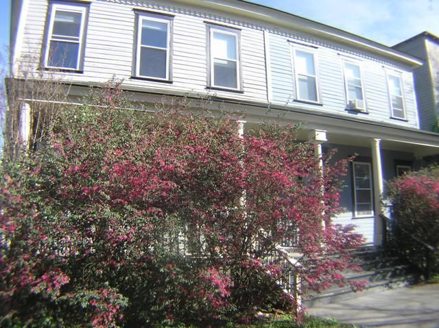2304 Barnard St, Savannah, GA 31401 