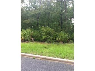 207 Barrington Oaks (Apn# 03-20247), Brunswick, GA 31523 